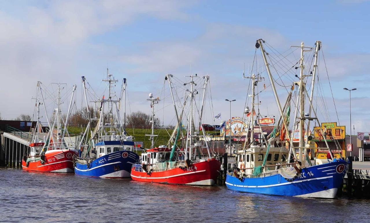 Royal Maris 5: Retreat Near & Harbor