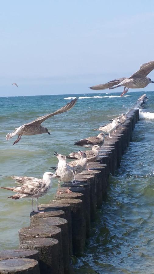 Apartment Royal Maris 5: Retreat Near & Harbor Ustka
